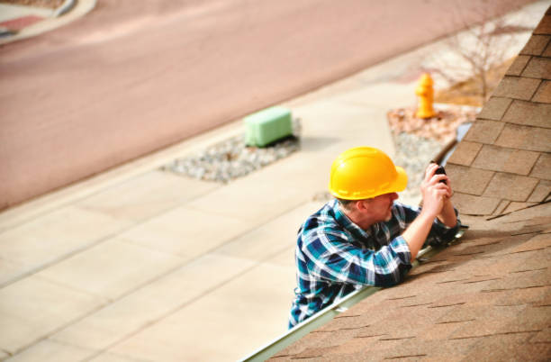 Best Roof Gutter Cleaning  in Pine Lakes, FL